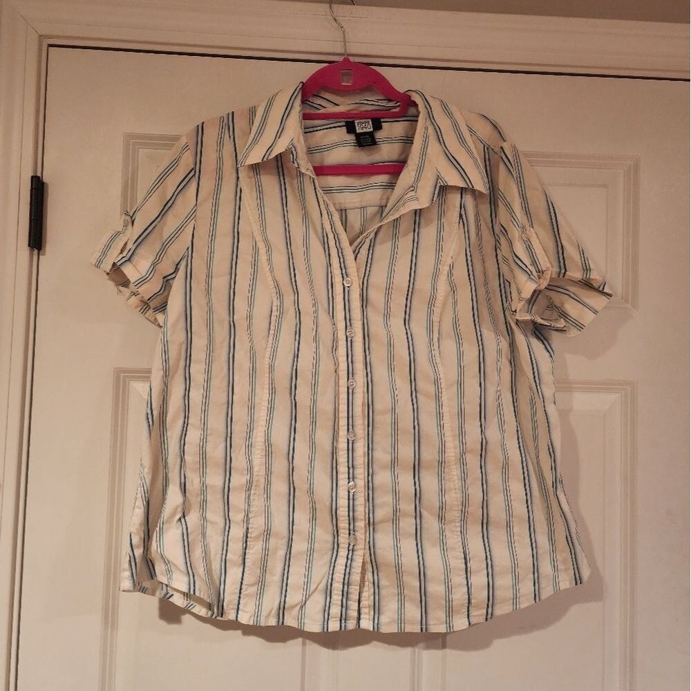 Studio 1940 white and blue striped button up shirt Size 22